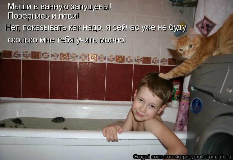 я сегодня мылась поебусь может. лоток прикол. потрахаемся после физики. мемы с котиками в ванной. я сегодня мылась поебусь может.