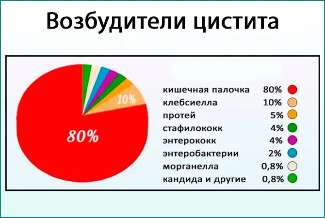 Цистит у пожилых людей. Цистит у пожилых женщин. Цистит у женщин.