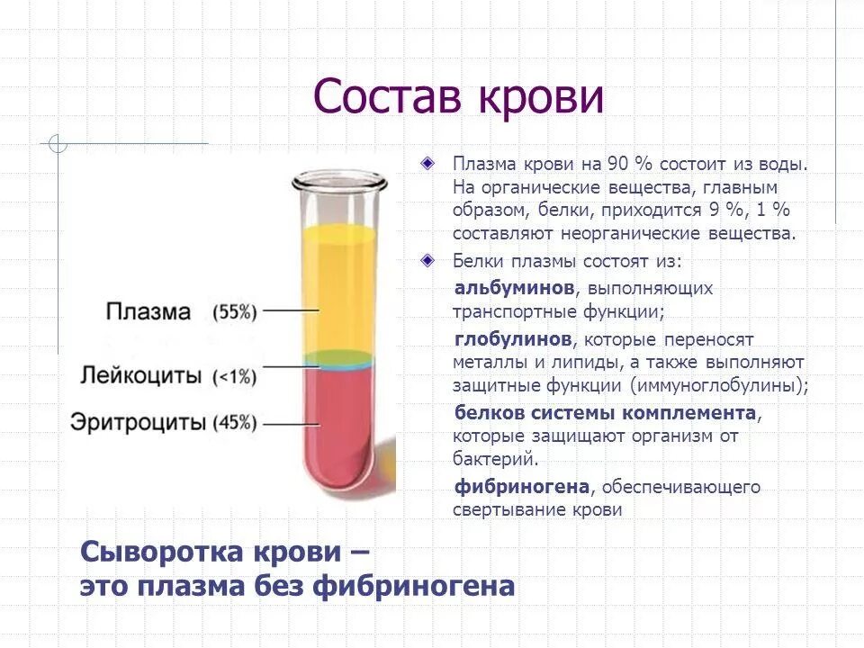 Сыворотка больному. Состав крови плазма и сыворотка крови. Чем сыворотка крови отличается от плазмы. В состав плазмы крови человека входит сыворотка. Состав крови состав сыворотки плазмы крови.