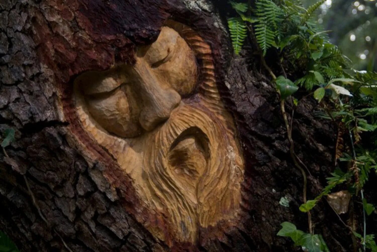 Картинки лицо дерево. Скульптура из дерева. Резные лица из дерева. Дерево с лицом. Скульптуры из дерева и пней.