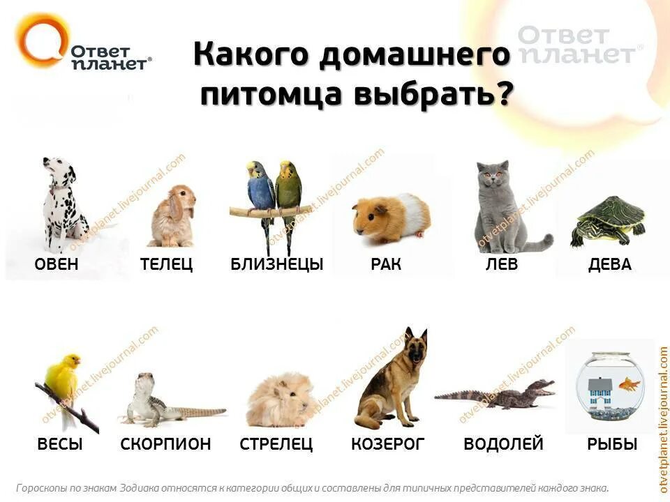Как узнать какое твое животное. Животное по знаку зодиака. знаки зодиака животные. кто ты по гороскопу из животных. какие животные по зназдиака.
