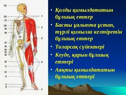Менің сүйікті қайын енеммен жыныстық қатынас
