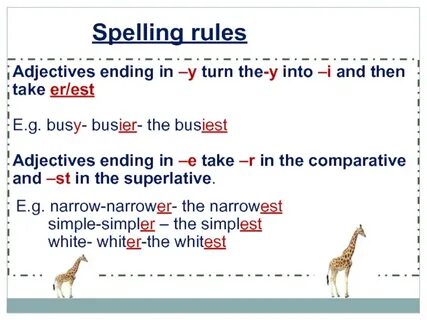 Adjective y
