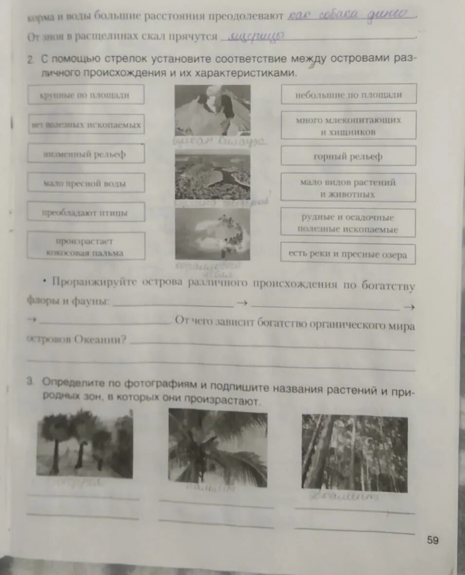 Установите соответствие между правами и свободами человека. Установите соответствие. Установите соответствие между особенностями. Установите соответствие между видами рас. Установи соответствие.