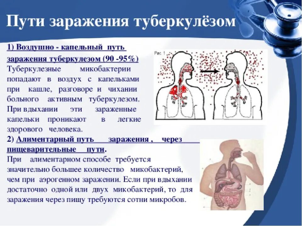 Легко передается воздушно капельным. Пути заражения туберкулезом. Туберкулёз способы заражения. Пути передачи заражения туберкулезом. Пути заражения туберкулезом легких.