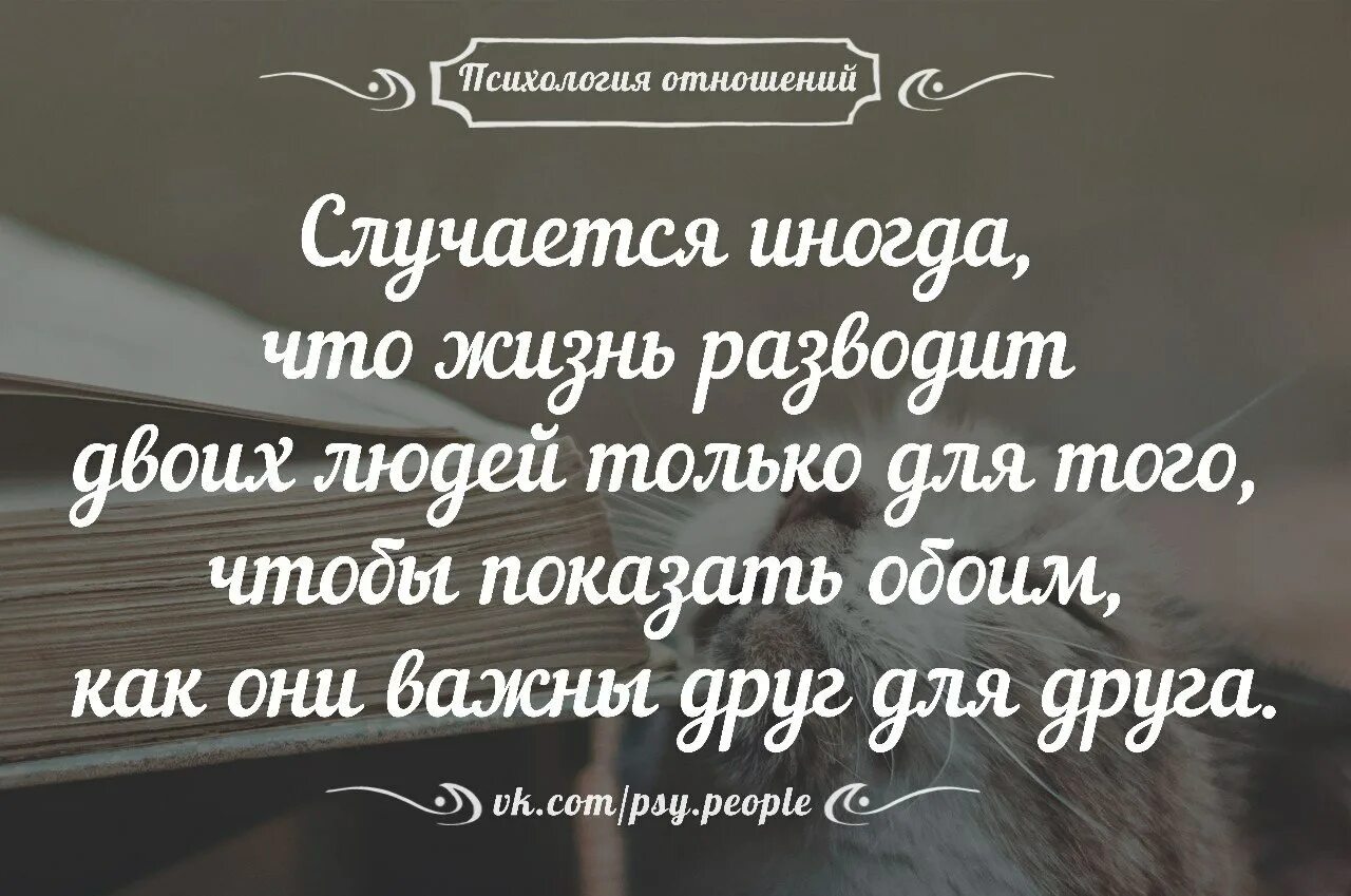 Статус отношений жизнь. Психология отношений мужчины и женщины слабости. Психология отношений 2 и 1, как быть. Позцият врага психология отношений. Создать страницу сайта психология отношений.