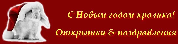 Год кролика мальчик. Год кролика постер. Заяц в новогодней шапке. Год кролика мальчик. Кот в новогоднем колпаке.