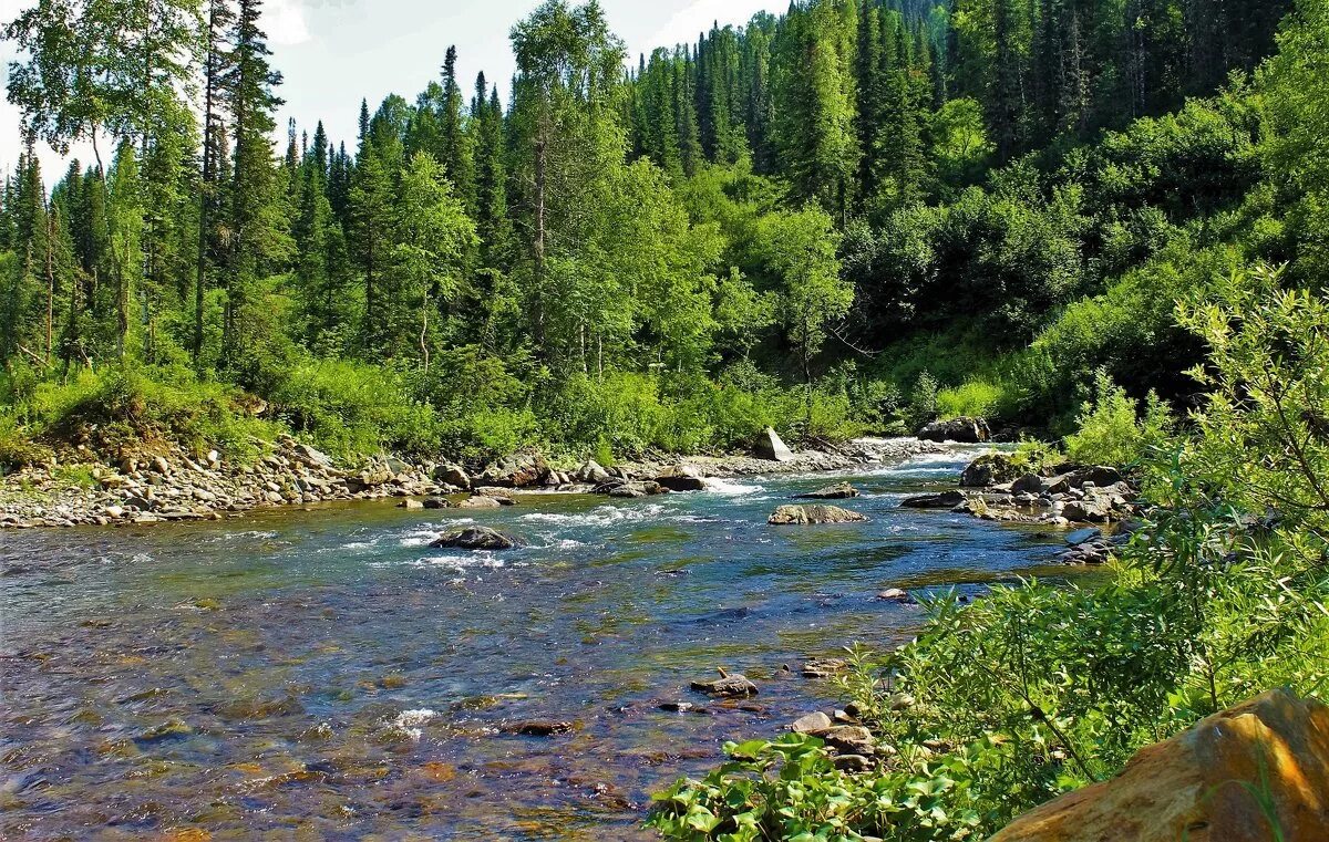 Воды тайги в россии