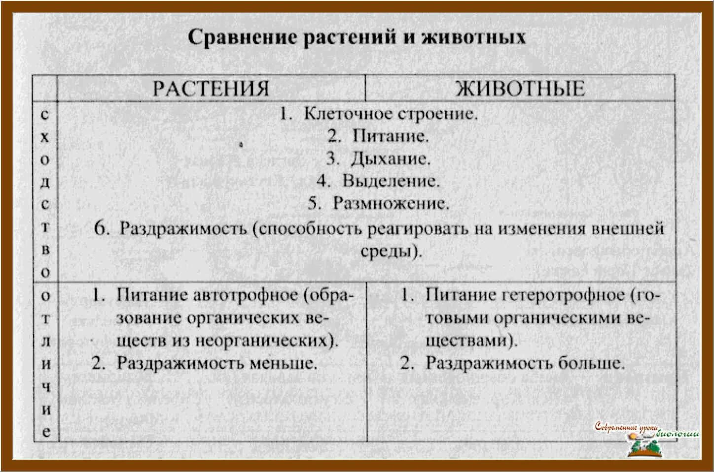 3 отличия животных от растений. Сходство растений и животных. Сходства и различия животных и растений. Сдохство растений и животных. Сходства и различия растений.