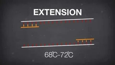 Extend time