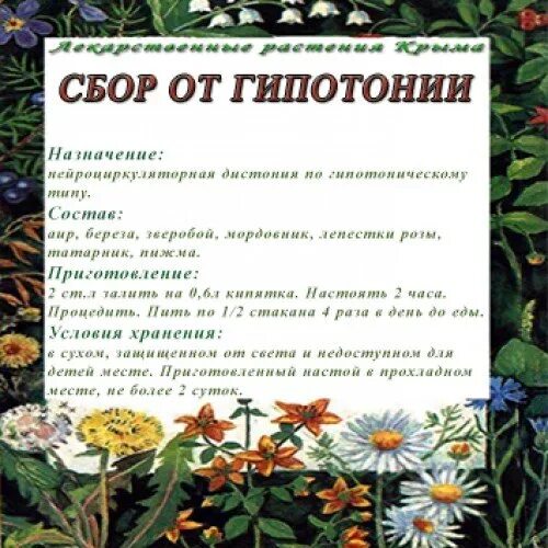 Травы лечащие аллергию. Желчегонный сбор состав трав. сбор трав от онкологии. лекарственные растения при онкологии. лекарственные травы от эпилепсии.