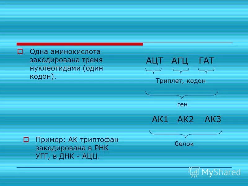 Если аминокислота кодируется кодоном угг. Кодовый триплет, кодон, соответствует только одной аминокислоте. Если аминокислота кодируется кодоном угг. Триптофан кодон. Синтез белка генетический код.