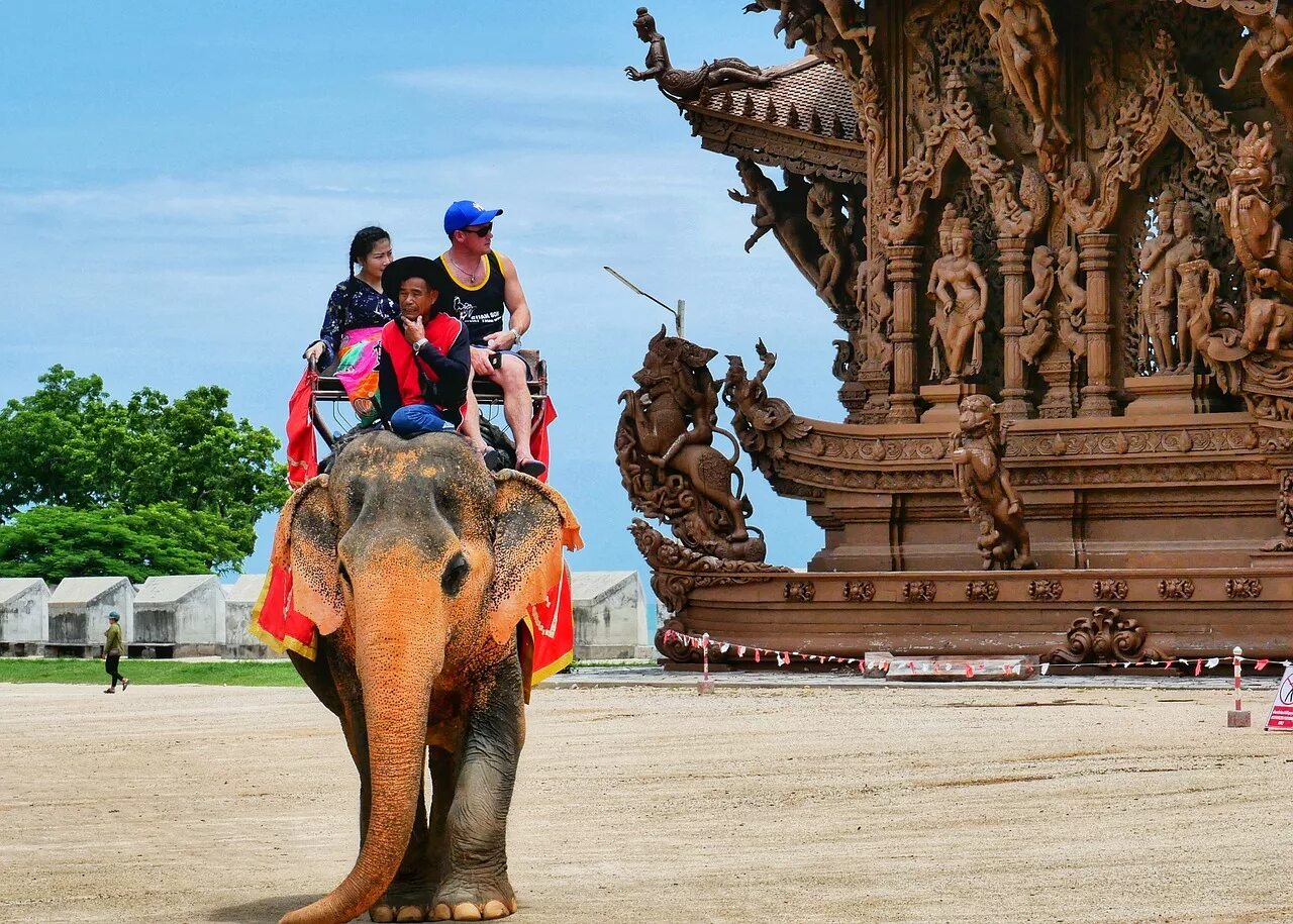 Elephant sanctuary park. Храм слона в Таиланде. Тайланд слоны. Слоновья ферма Пхукет. Шри Ланка храм слон.