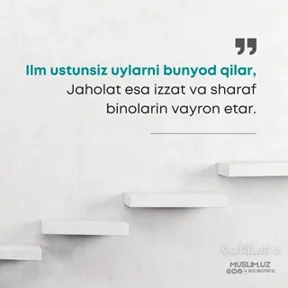 Ўзбекистон мусулмонлари идораси