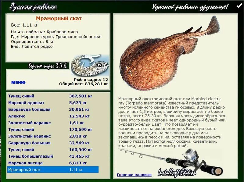 Скат торпедо. Скат электрический Torpedo. Вес ската. Мраморный электрический Скат Torpedo Marmorata. Сколько весит Скат.