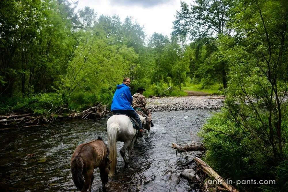 Riding around. Эссо фото конные прогулки.