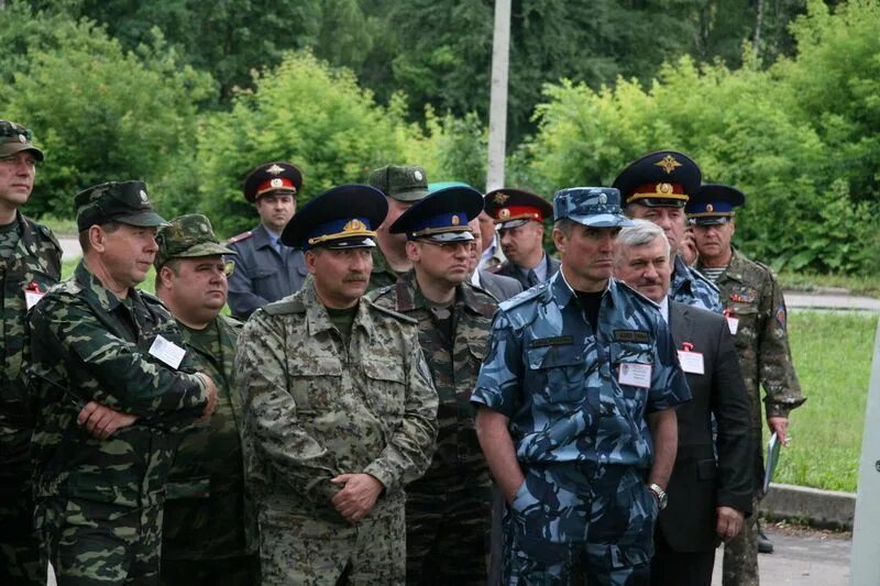 Сигнал 2011