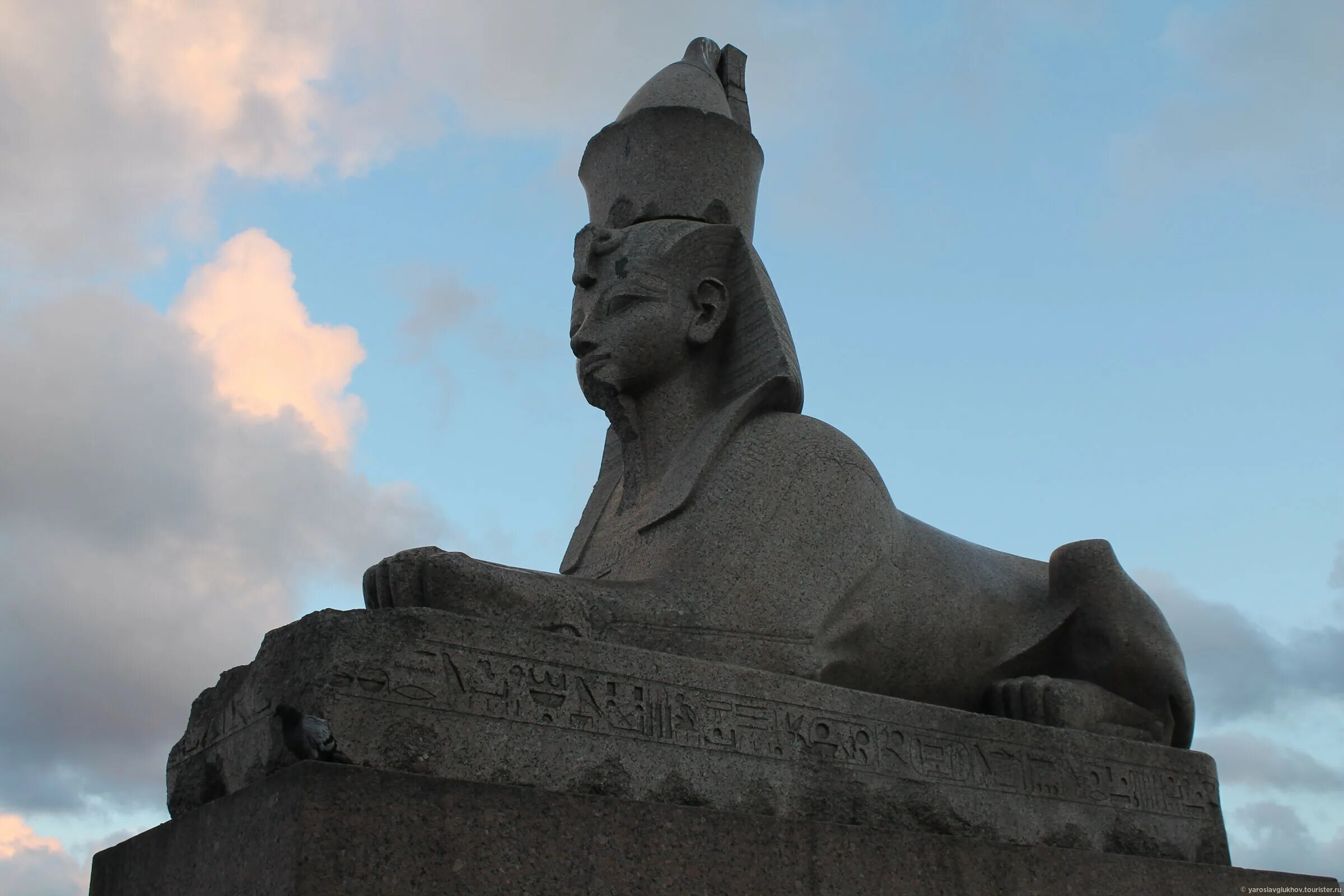 сфинксы в архангельском. сфинкс египетского моста через фонтанку. усадьба марфино. сфинксы на университетской набережной в блокаду. сфинксы в архангельском.