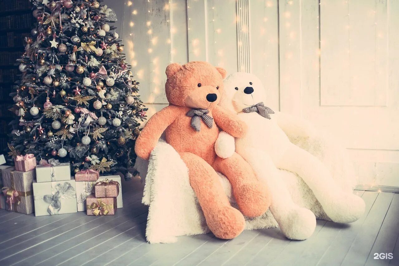 Цветы роскошные медведь в свитере. Плюшевый медведь. Плюшевый мишка с телефоном. Черный медвежонок игрушка. Мишка поиск по фото.