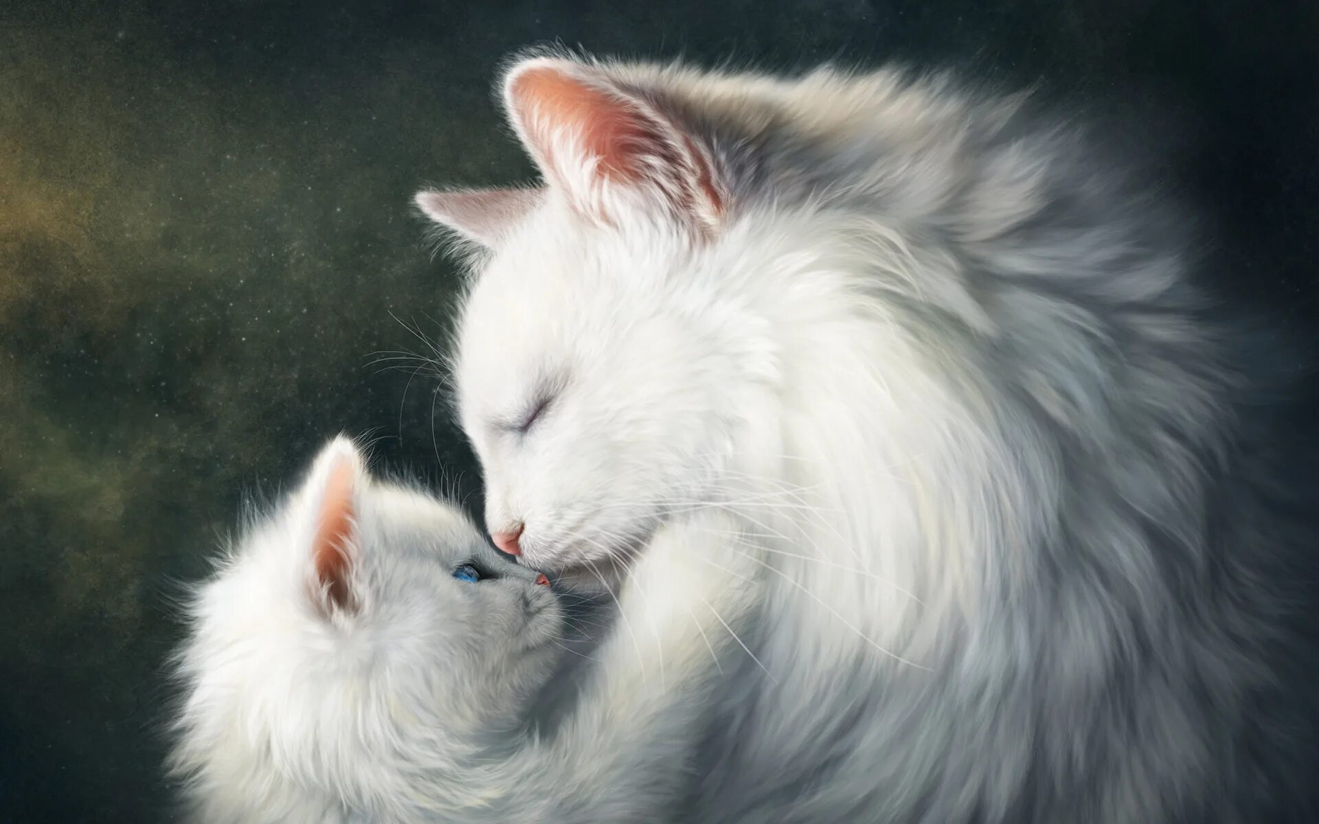 белый котенок. котенок самый белый. кошка белая. белый котенок. белый котик.