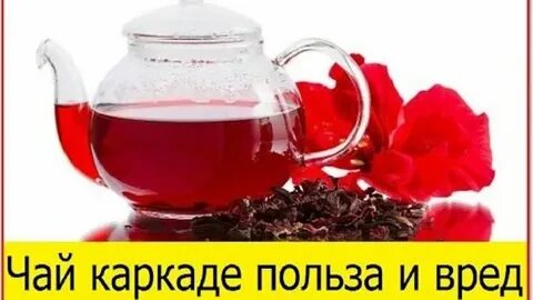 Каркаде чай польза и вред для женщин