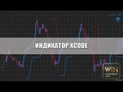 Бинариум индикаторы