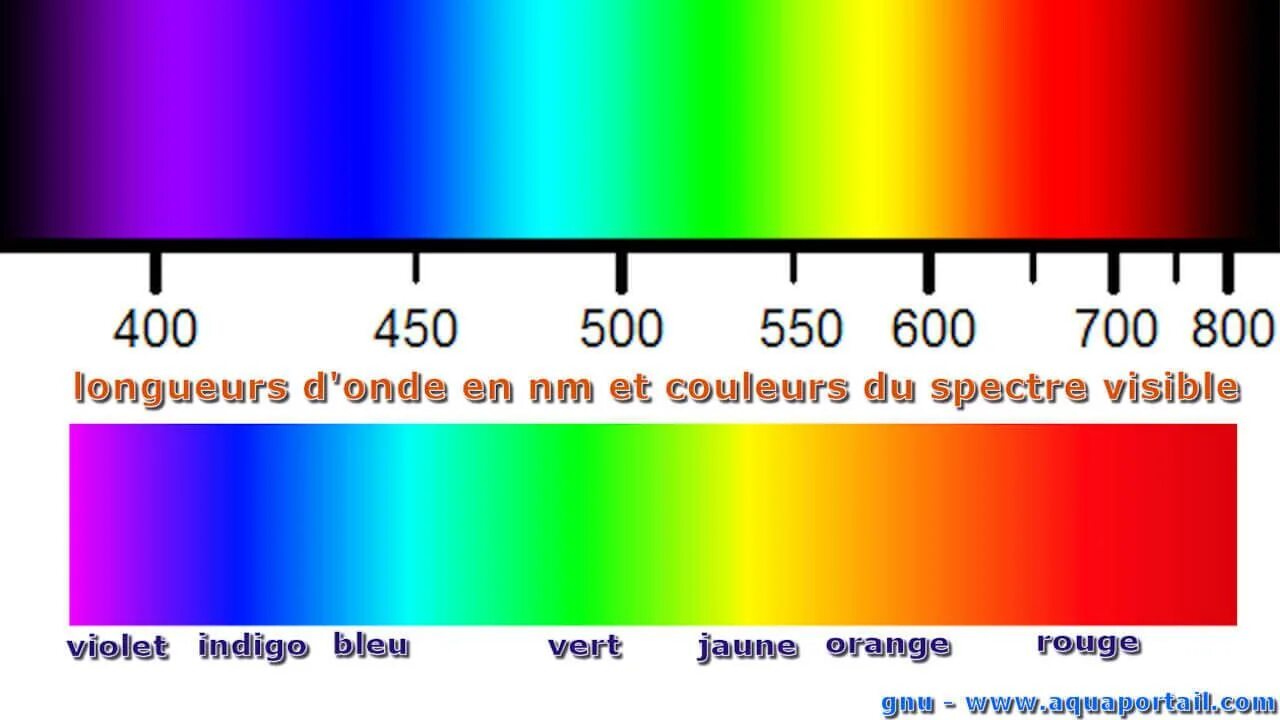 Visible 0 visible