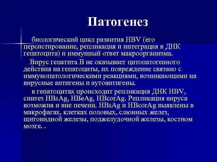 Незаросший баталов проток. Персистирование боталлова протока относится к порокам. Факторы влияющие на биоаккумуляцию. Персистирование артериального боталлова протока. Персистирование первичного эмбрионального ствола.