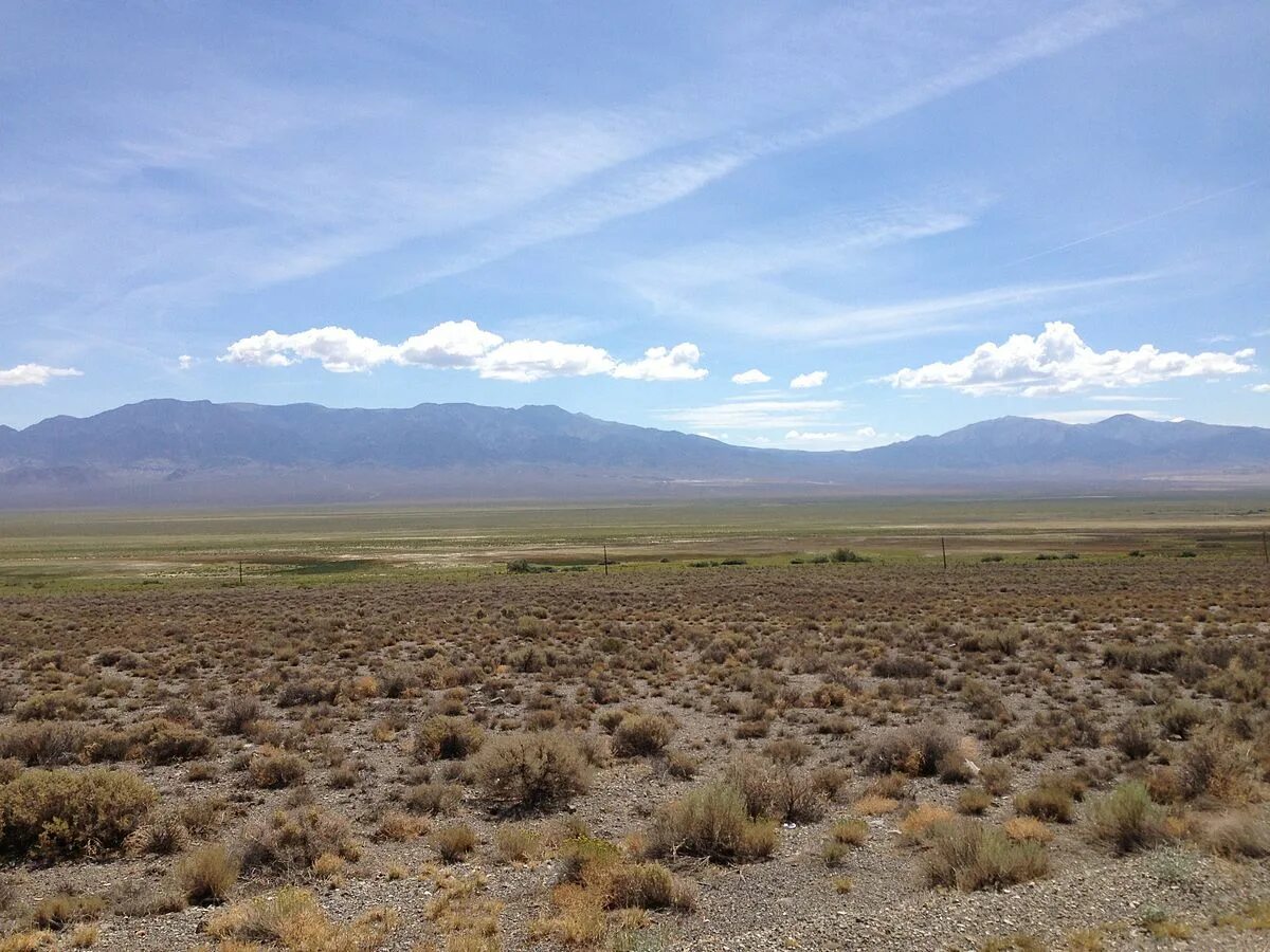 Array zone
