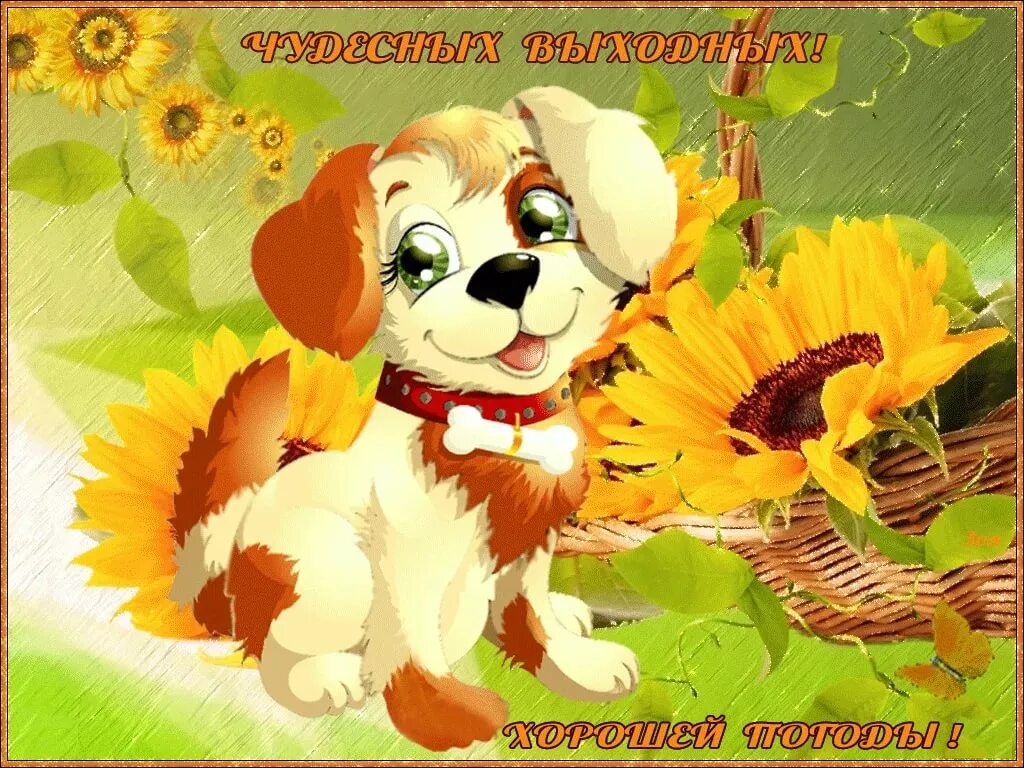 Всем веселья и доброго дня. Открытки отличного настроения. прекрасного дня и настроения. пожелания хорошего настроения. открытки хорошего дня и отличного настроения.