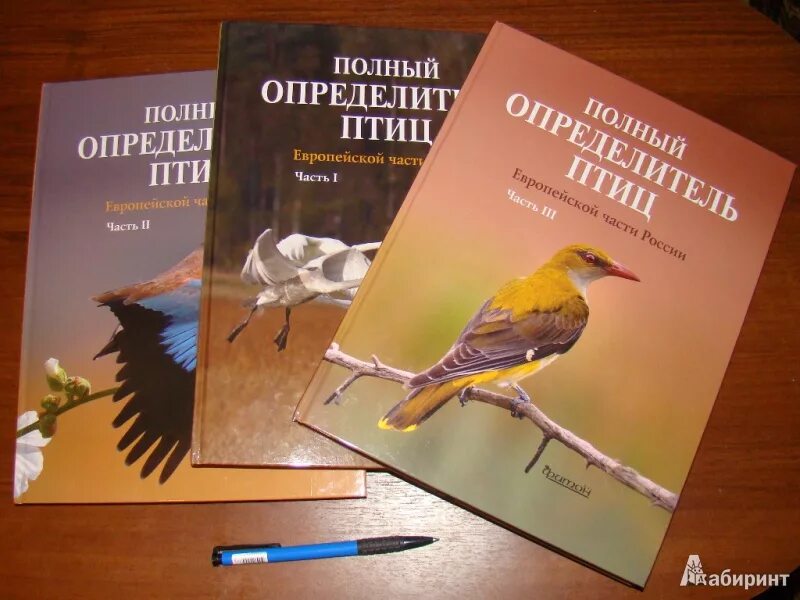 Птицы белоруссии. Птицы беларуси книги. Красная книга беларуси для детей. Птицы беларуси книги. Книги о птицах.