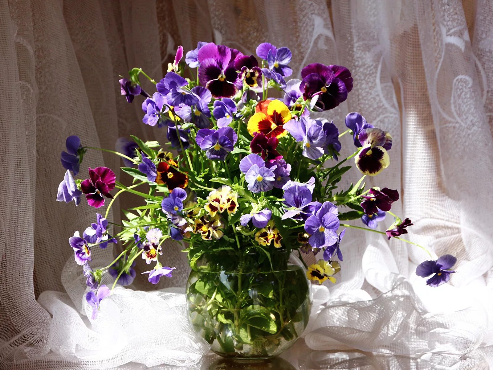 Purple and White Flower Bouquet