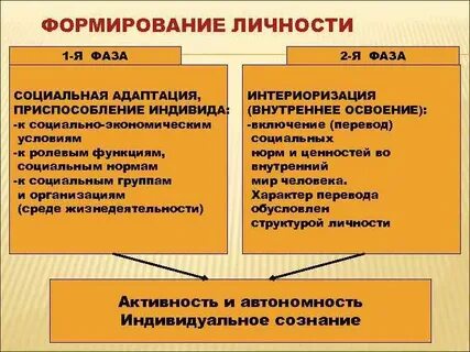 Процесс приспособления индивида к условиям социальной среды