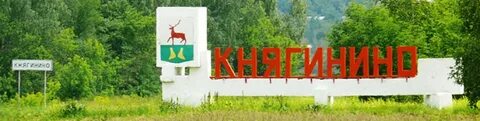 Княгинино московская область