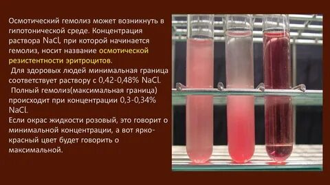 Резистентность эритроцитов норма
