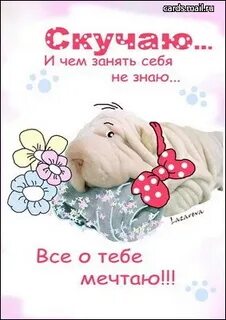 Скучаю по прошедшим дням