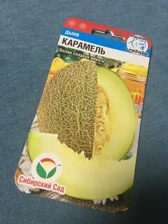 Дыня карамелька