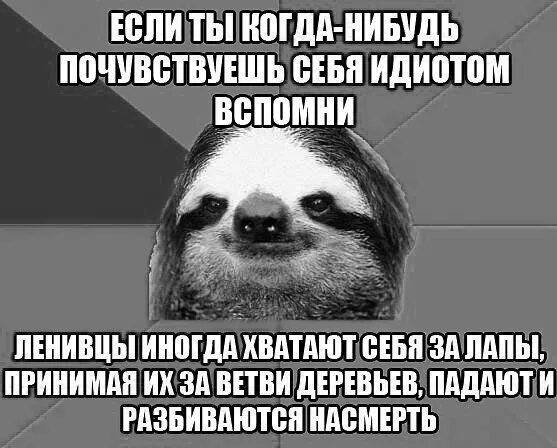 Чувствую себя дебилом. Чувствую себя идиотом. Если ты чувствуешь себя идиотом. Почувствуй себя идиотом. Как ведет себя придурок