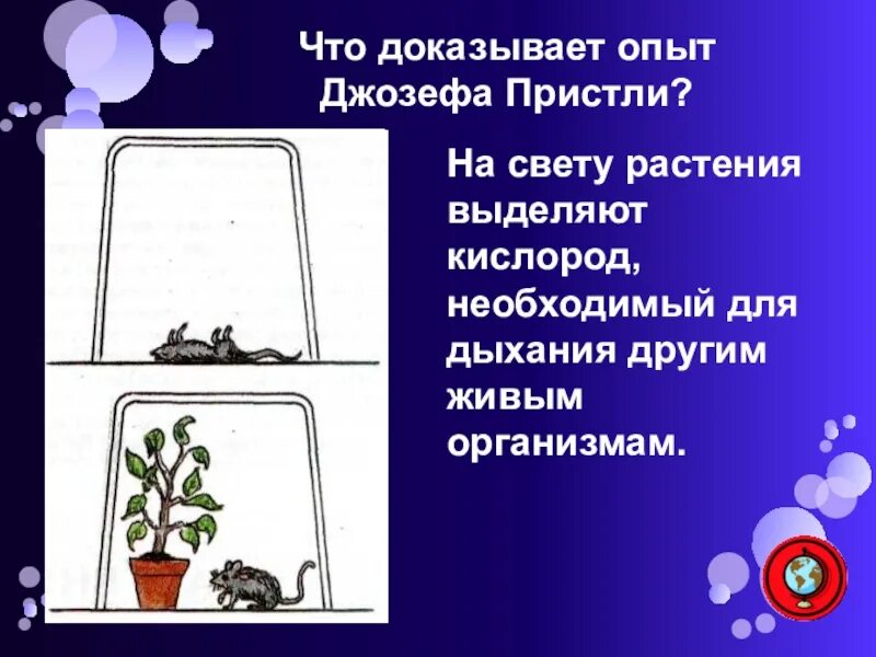 Кислород необходим для жизни. Опыт Джозефа Пристли опыт. Опыт Джозефа Пристли фотосинтез. Опыт доказывающий выделение кислорода элодеей.