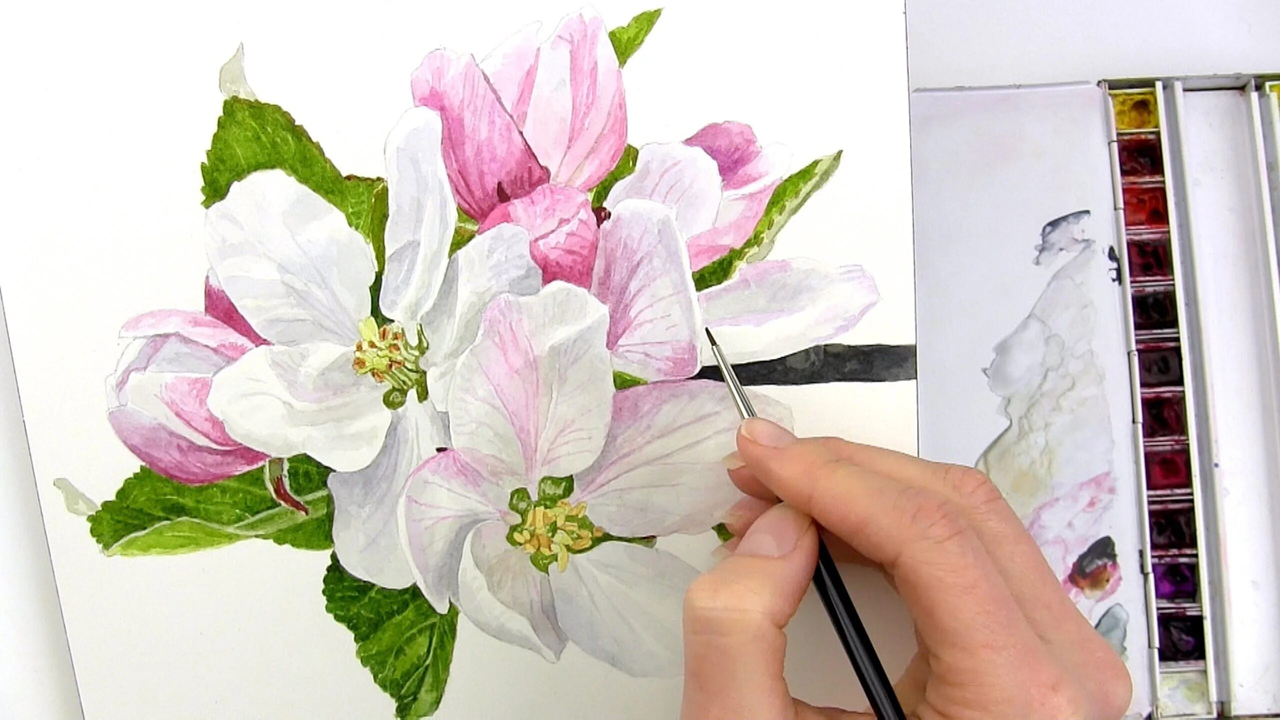 Сделать рисунок в цвете. Anna Mason акварель. Цветы акварель. Рисование цветов акварелью. Цветы для рисования акварелью.