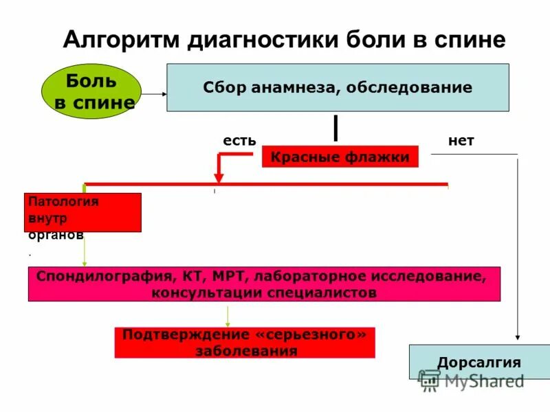 Боли в спине обследование. Боль в спине дифференциальная диагностика. Диагностика при болях в спине. Алгоритм лечения боли в спине. Алгоритм обследования головной боли.