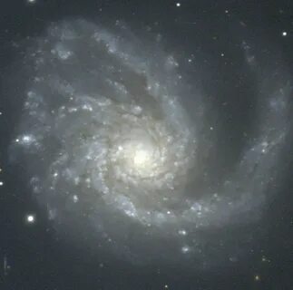Ngc верхняя красносельская