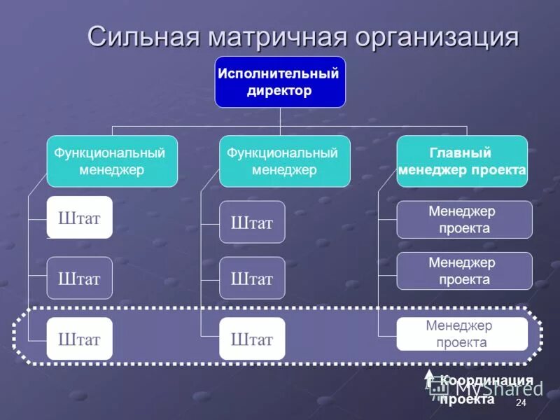 Структура проектного отдела в проектном институте. Проектное управление. Штат проекта. Штат проекта. Организационная структура управления проектного института.