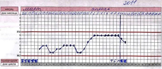 Беременный график базальной температуры до задержки. Базальная температура 37 5 при беременности. График базальной температуры при беременности на ранних. БТ при беременности на ранних. 37 держится 3 дня
