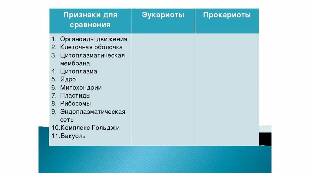 Органоиды клетки прокариоты эукариоты