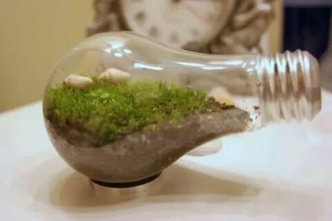 Reuse things