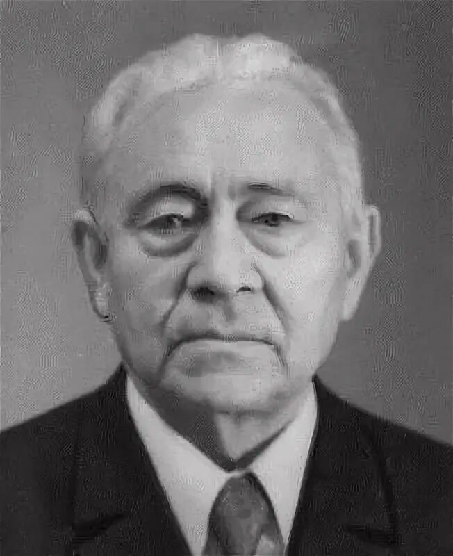Гайсин мирсай миргалиевич. Мирсай амир биография. Писатель амир чаныш. Мирсай амир. Эмир книга.