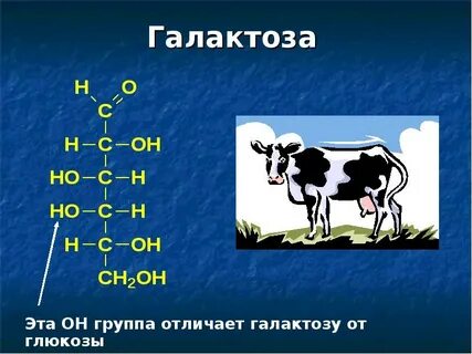 Галактоза