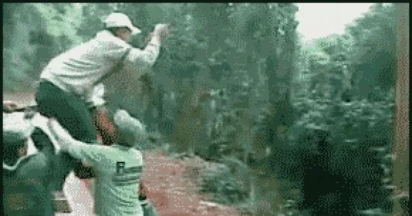 Source fail. Fail гиф. gif смешные фейлы. гифки неудача.