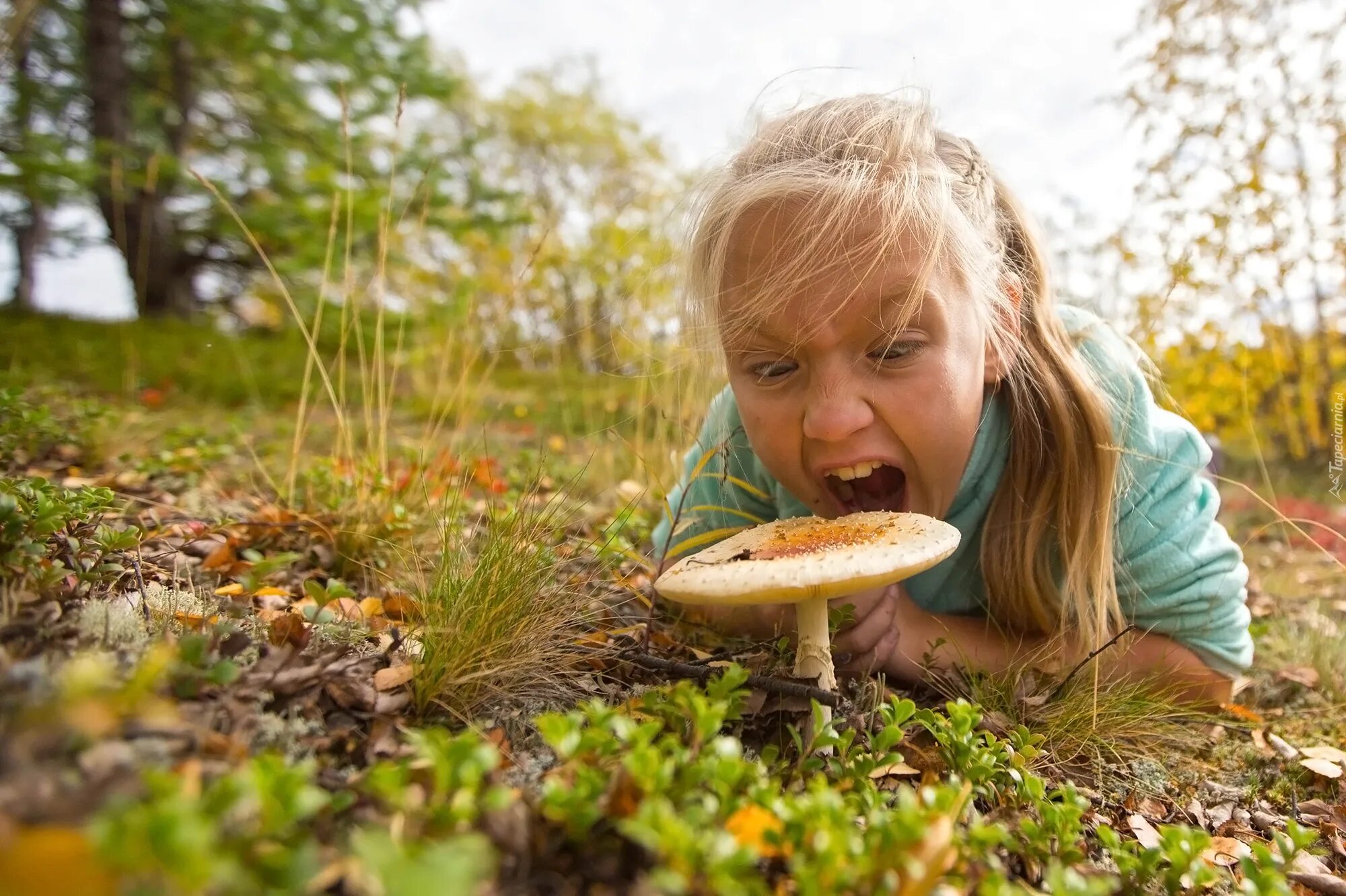Девочка гриб. Фотосессия детская в лесу с грибами. Девушка с грибами фотосессия. Девочка грибочек. В воде есть грибы